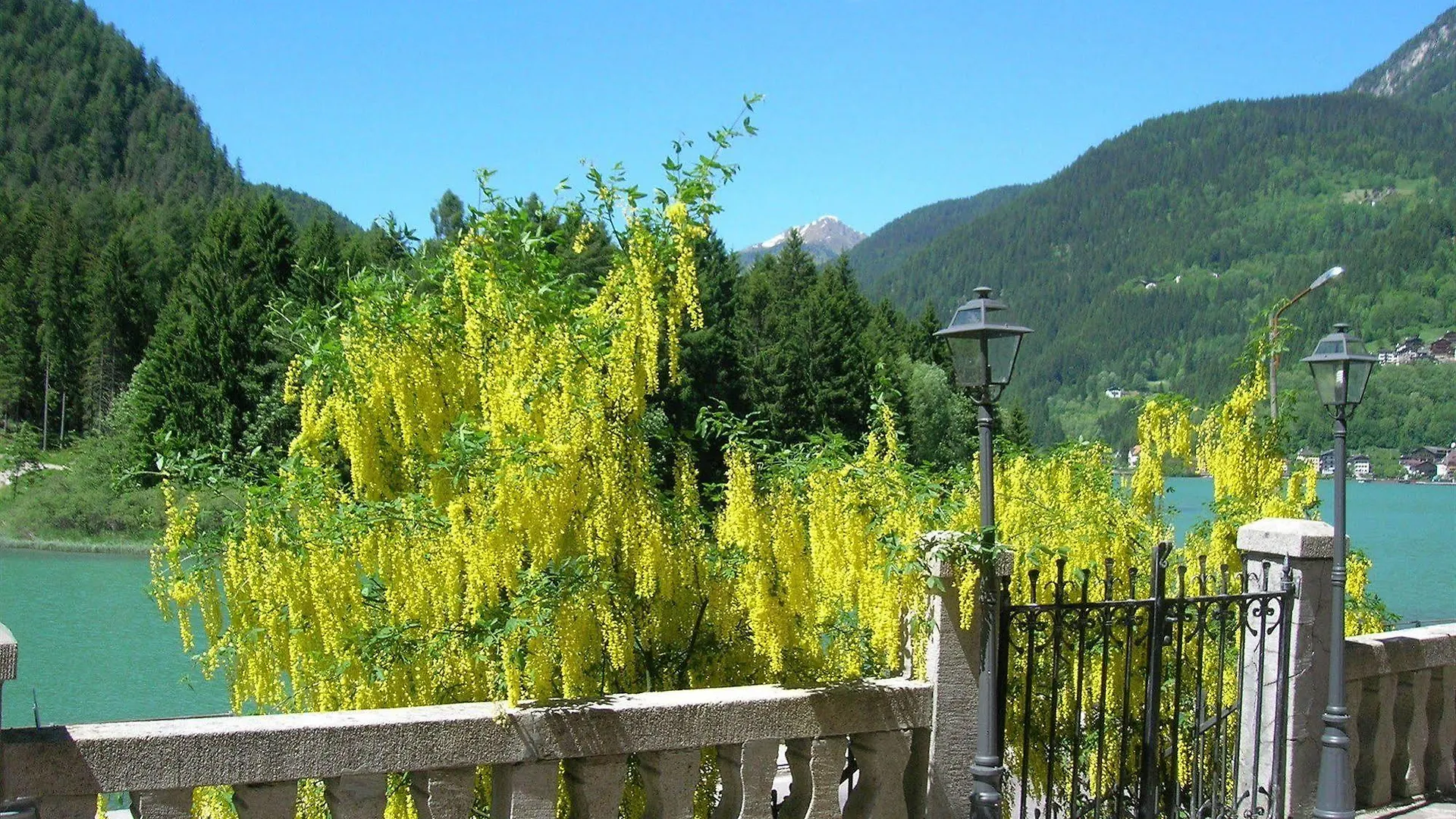 Appartamenti Regina Dolomitissime Alleghe Hotel