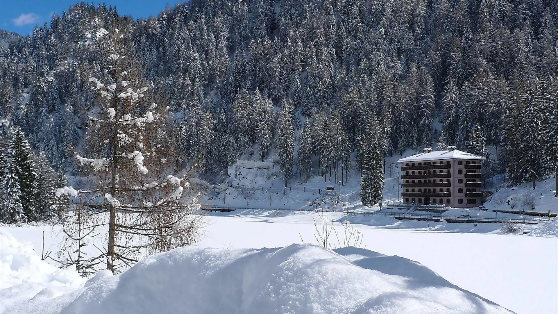 Appartamenti Regina Dolomitissime Alleghe